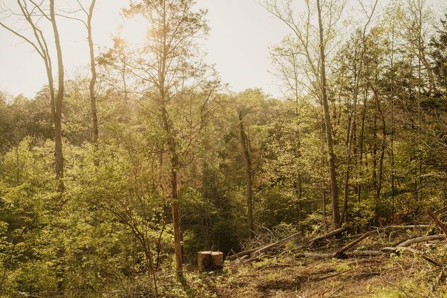 2697 Pine Ridge Road, Winchester, KY 40391