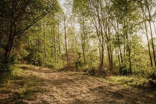 2697 Pine Ridge Road, Winchester, KY 40391