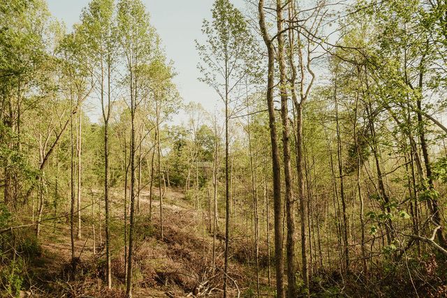 2697 Pine Ridge Road, Winchester, KY 40391
