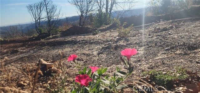 14900 Woodland Park, Forest Ranch, CA 95942