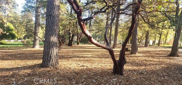 14900 Woodland Park, Forest Ranch, CA 95942