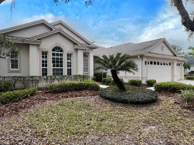 18111 SUGAR BROOKE DRIVE, Tampa, FL 33647