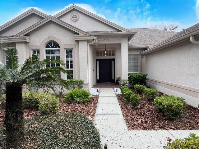 18111 SUGAR BROOKE DRIVE, Tampa, FL 33647