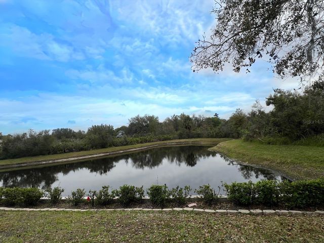 18111 SUGAR BROOKE DRIVE, Tampa, FL 33647