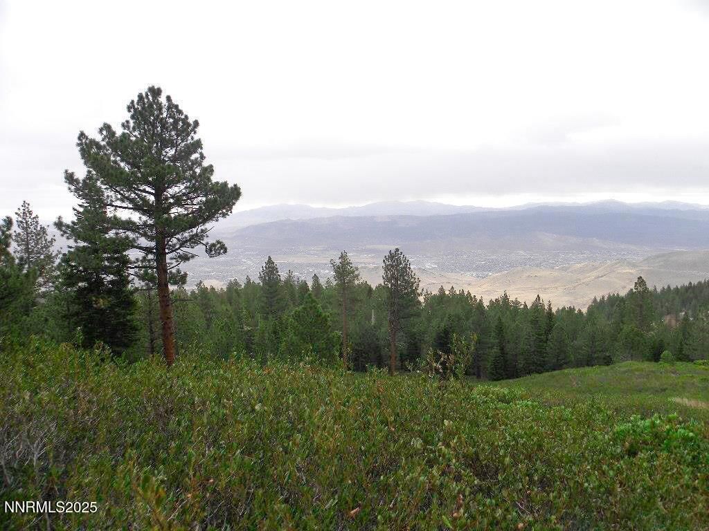 0 Kings Canyon Rd, Carson City, NV 89703