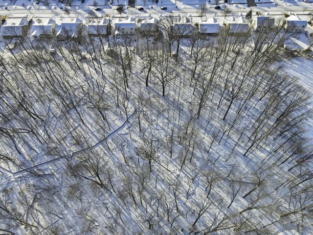 73986 Madison Street, Armada, MI 48005