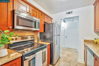 490 N Civic Drive 101, Walnut Creek, CA 94596