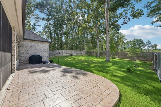 123 Trailhead Ridge Court, Conroe, TX 77318
