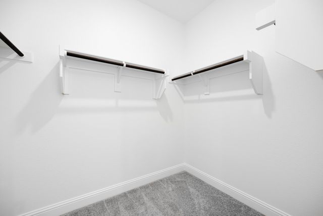 1136 Broomsedge Mews, Celina, TX 75009