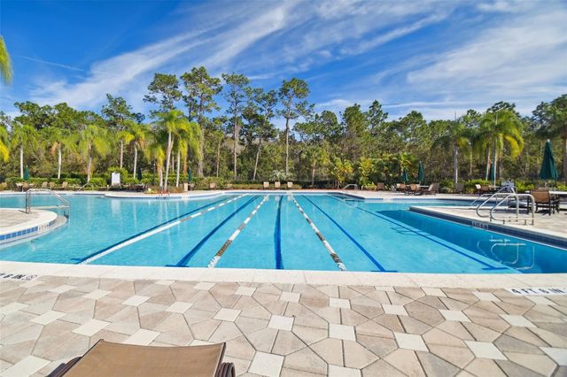 20233 MERRY OAK AVENUE, Tampa, FL 33647