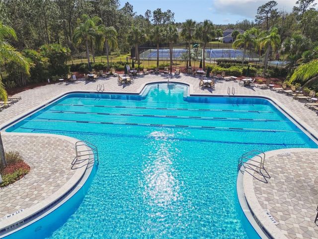 20233 MERRY OAK AVENUE, Tampa, FL 33647