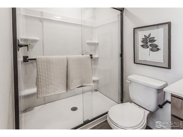 945 Trumpet Ln, Windsor, CO 80550