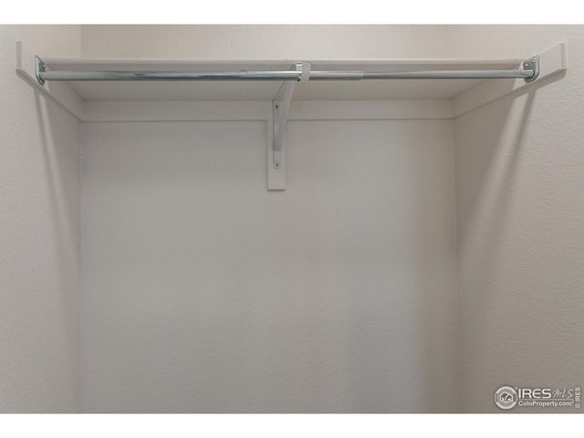 945 Trumpet Ln, Windsor, CO 80550