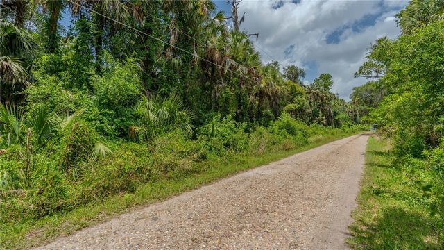 SWAMP LANE, Geneva, FL 32732