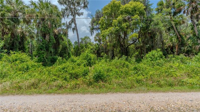 SWAMP LANE, Geneva, FL 32732