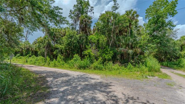 SWAMP LANE, Geneva, FL 32732