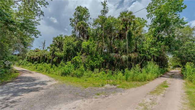 SWAMP LANE, Geneva, FL 32732