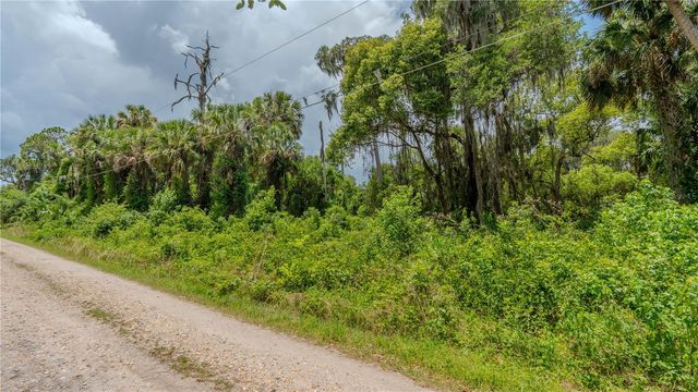 SWAMP LANE, Geneva, FL 32732