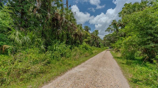 SWAMP LANE, Geneva, FL 32732