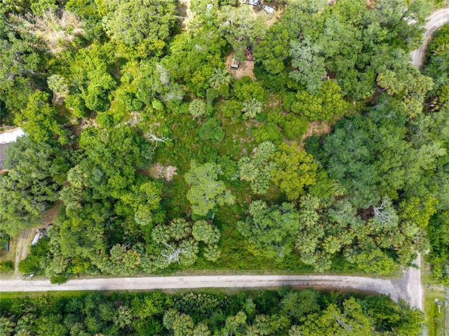SWAMP LANE, Geneva, FL 32732
