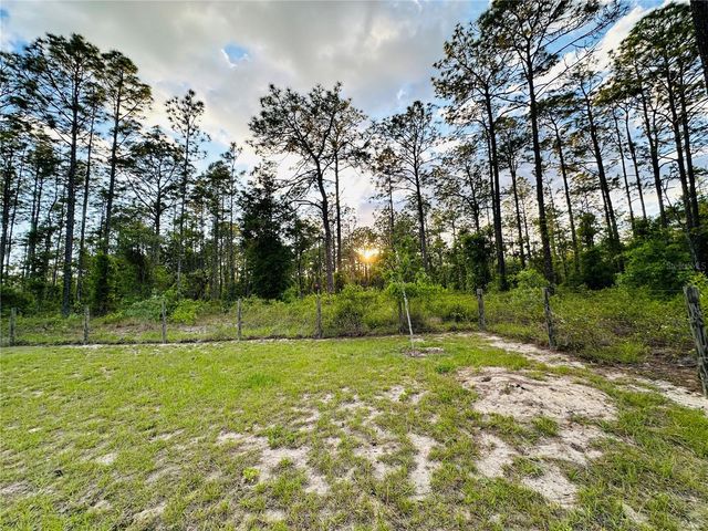 14251 SE 21ST PLACE, Morriston, FL 32668