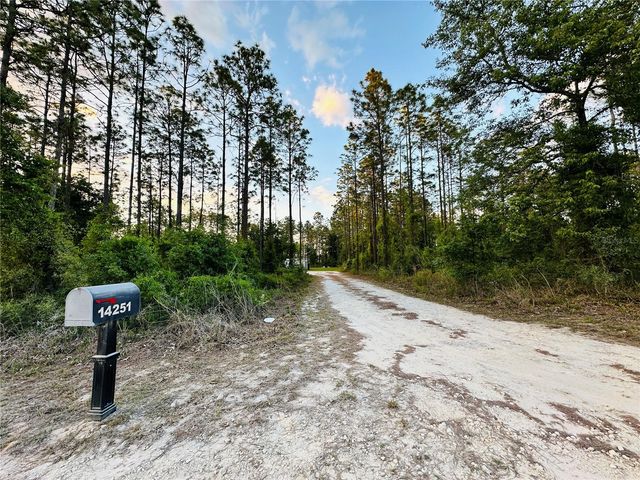 14251 SE 21ST PLACE, Morriston, FL 32668