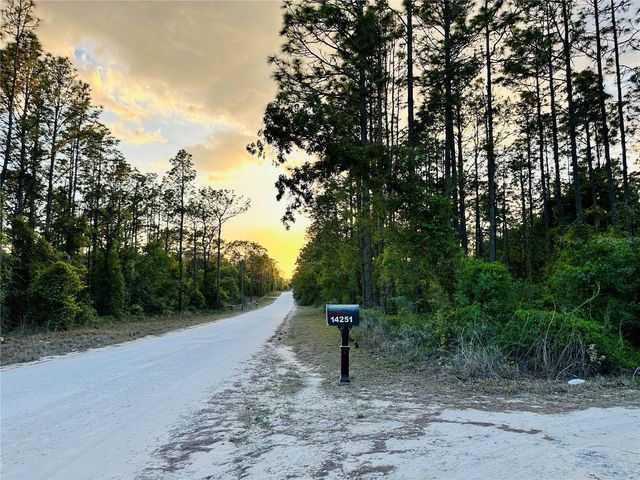 14251 SE 21ST PLACE, Morriston, FL 32668