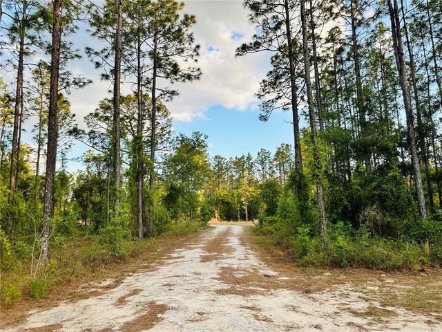 14251 SE 21ST PLACE, Morriston, FL 32668