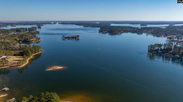 131 Arrow Shores Circle, Chapin, SC 29036