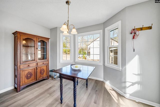 131 Arrow Shores Circle, Chapin, SC 29036