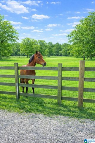 521 COUNTY ROAD 151, Jemison, AL 35085