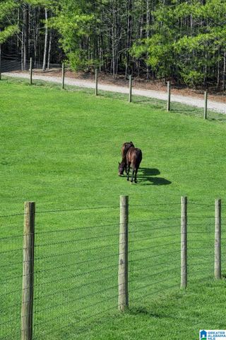 521 COUNTY ROAD 151, Jemison, AL 35085