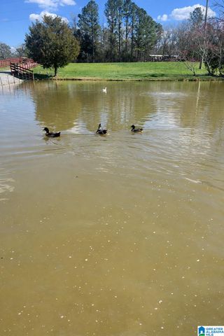 521 COUNTY ROAD 151, Jemison, AL 35085