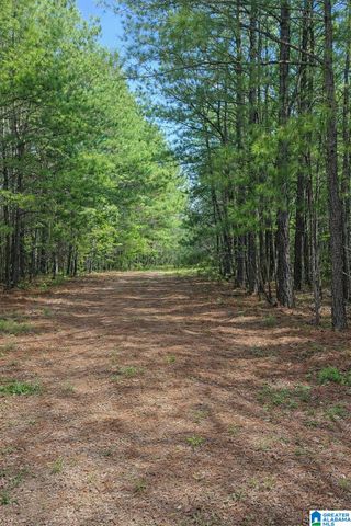 521 COUNTY ROAD 151, Jemison, AL 35085