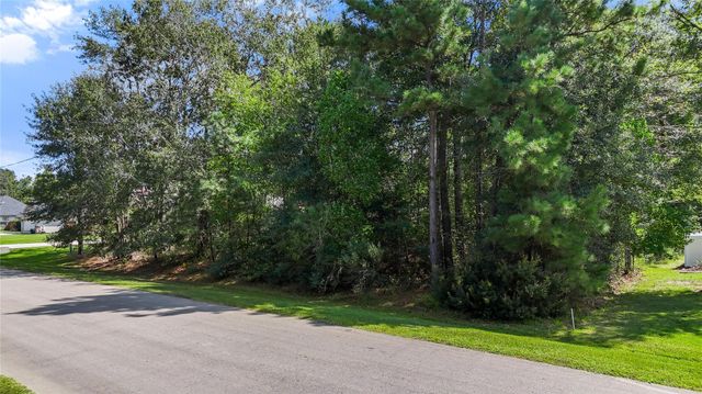 27724 Rio Blanco Drive, Splendora, TX 77372