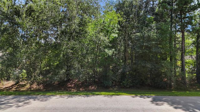 27724 Rio Blanco Drive, Splendora, TX 77372