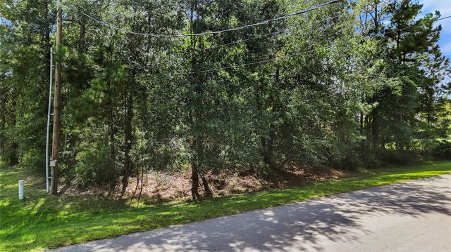 27724 Rio Blanco Drive, Splendora, TX 77372