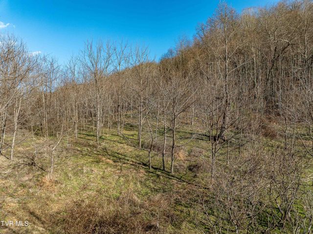 Tbd Dry Hill Road, Butler, TN 37640