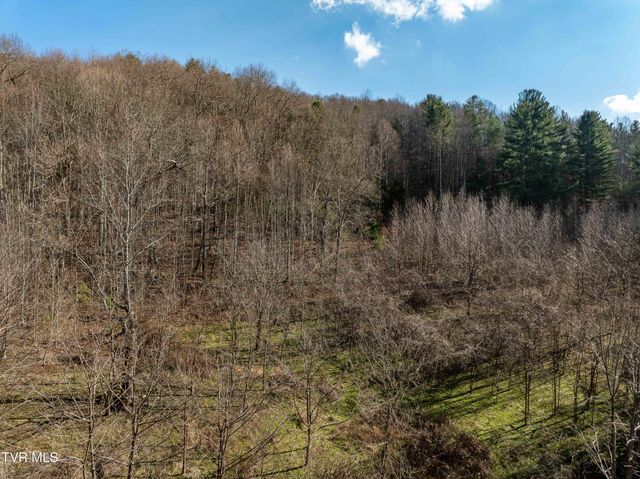 Tbd Dry Hill Road, Butler, TN 37640