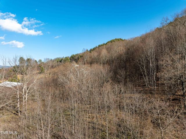 Tbd Dry Hill Road, Butler, TN 37640