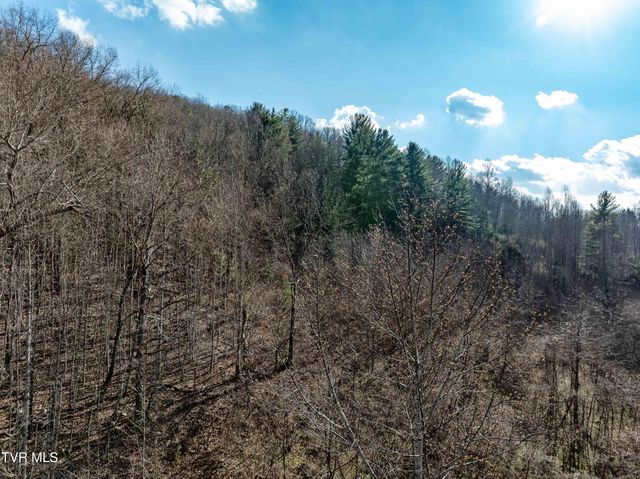 Tbd Dry Hill Road, Butler, TN 37640
