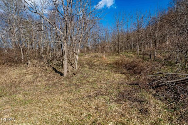 Tbd Dry Hill Road, Butler, TN 37640