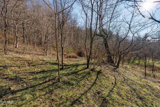 Tbd Dry Hill Road, Butler, TN 37640