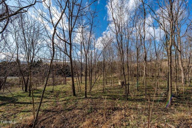 Tbd Dry Hill Road, Butler, TN 37640