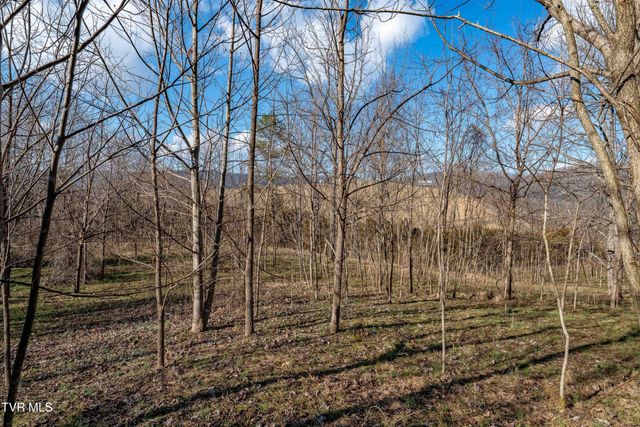 Tbd Dry Hill Road, Butler, TN 37640