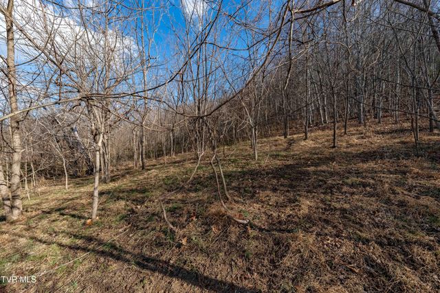 Tbd Dry Hill Road, Butler, TN 37640