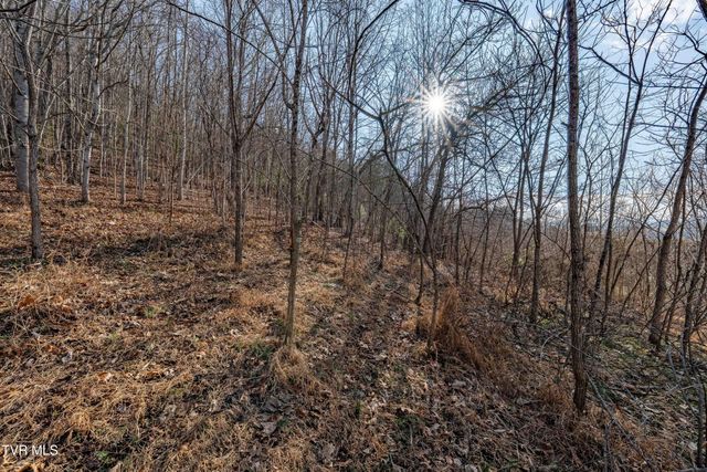 Tbd Dry Hill Road, Butler, TN 37640