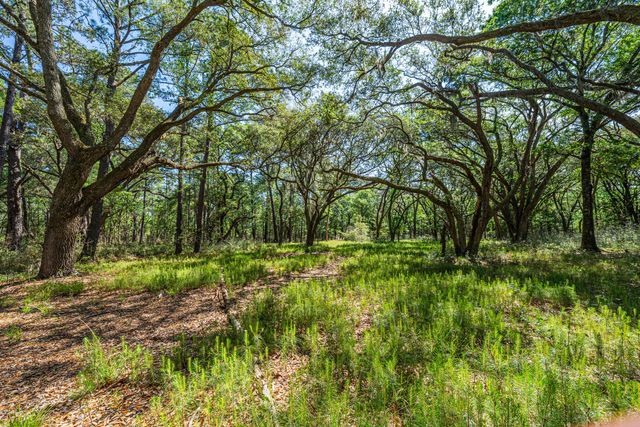 Lot 6 King Rail Lane, Edisto Island, SC 29438