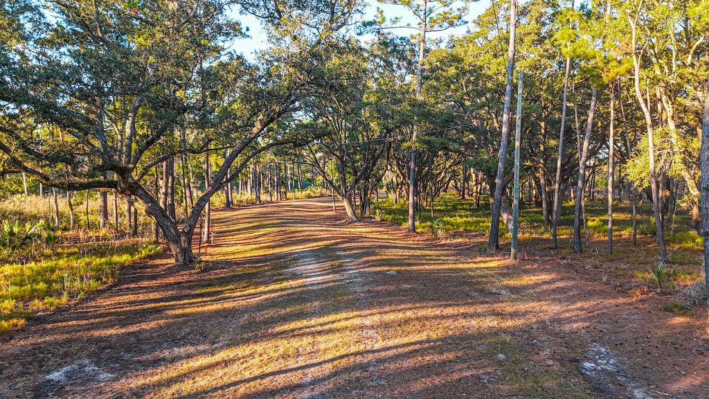 Lot 6 King Rail Lane, Edisto Island, SC 29438