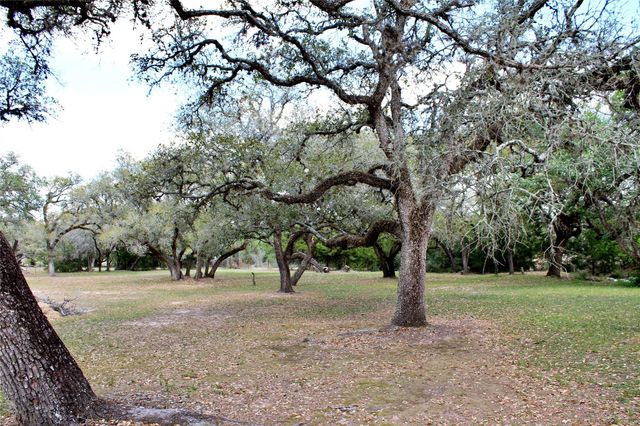 1061 Dee Allen Road, Columbus, TX 78934